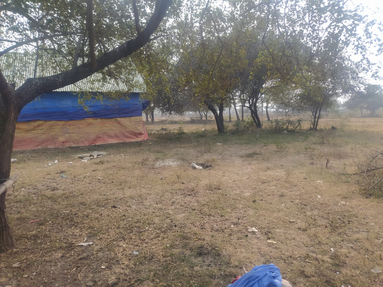 photo-16