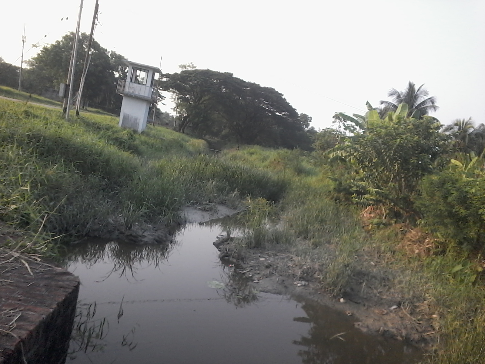 photo-8